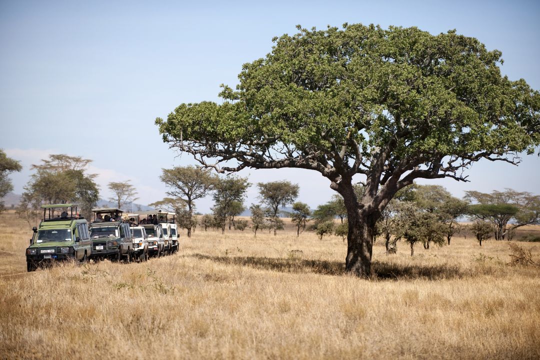 tanzania family safari