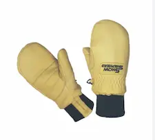 Warm gloves or mittens