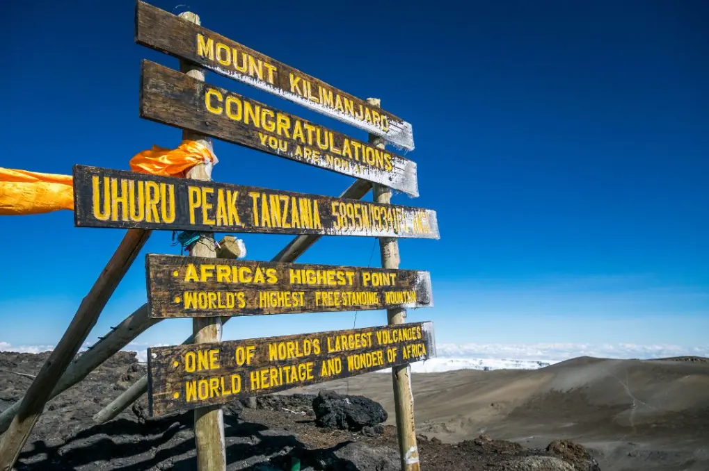 Beast tike to climb Kilimanjaro