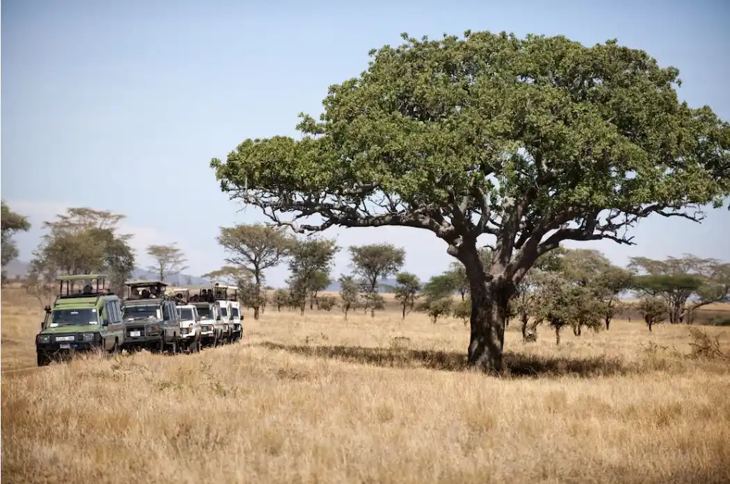 Tarangire National park