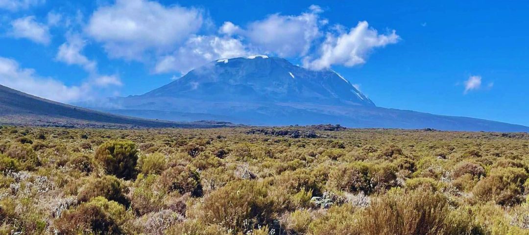 kilimanjaro