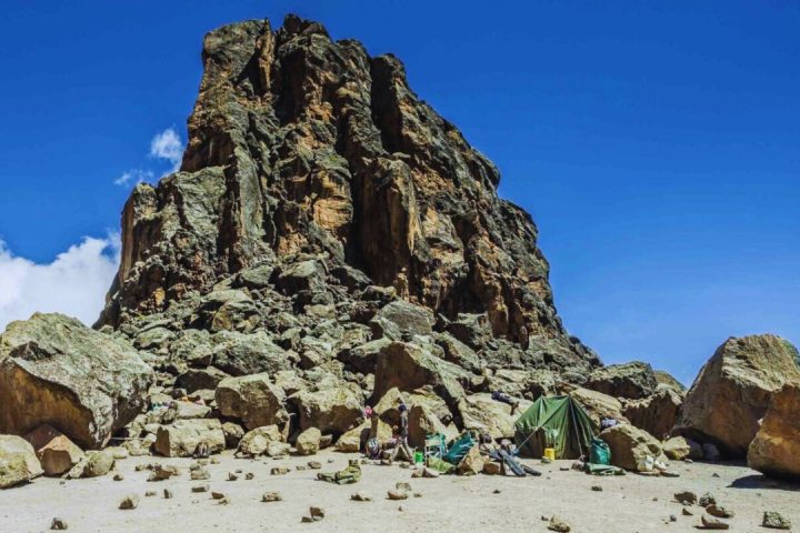 kilimanjaro