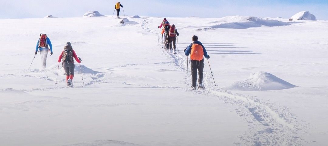 Climbing Kilimanjaro Guide