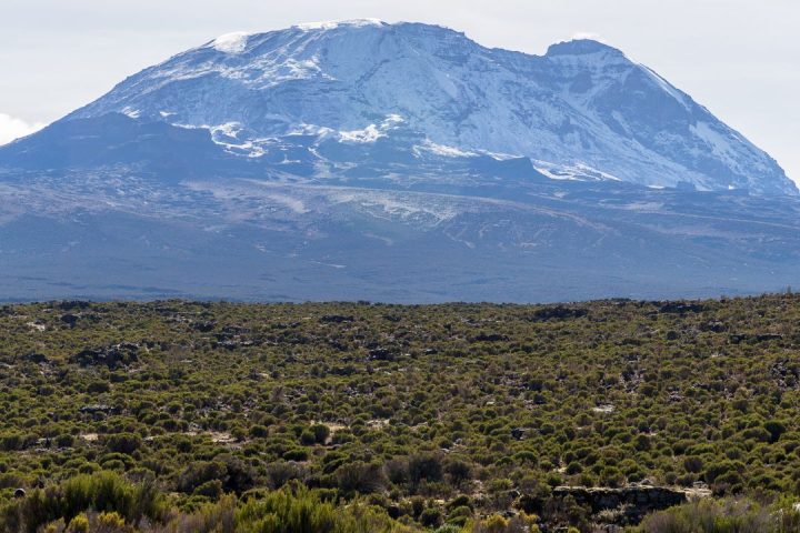 Kilimanjaro