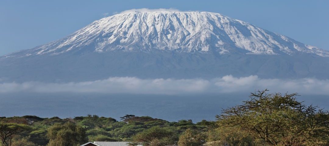 best tour operator for Kilimanjaro