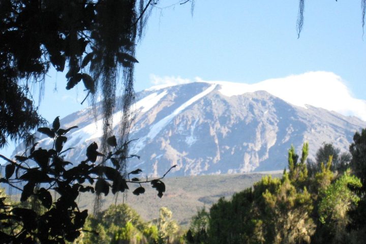kilimanjaro (5)