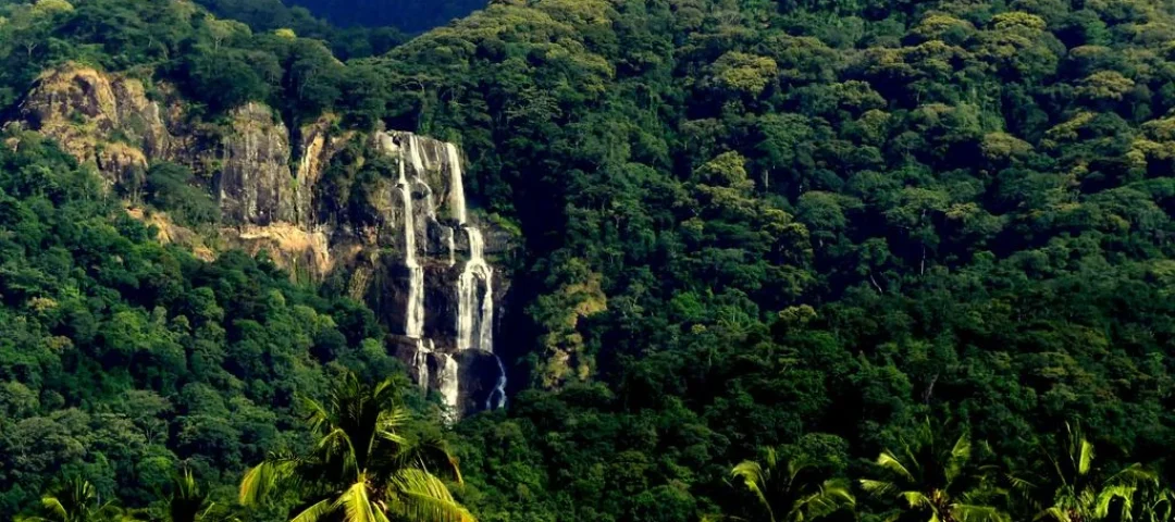 udzungwa mountains